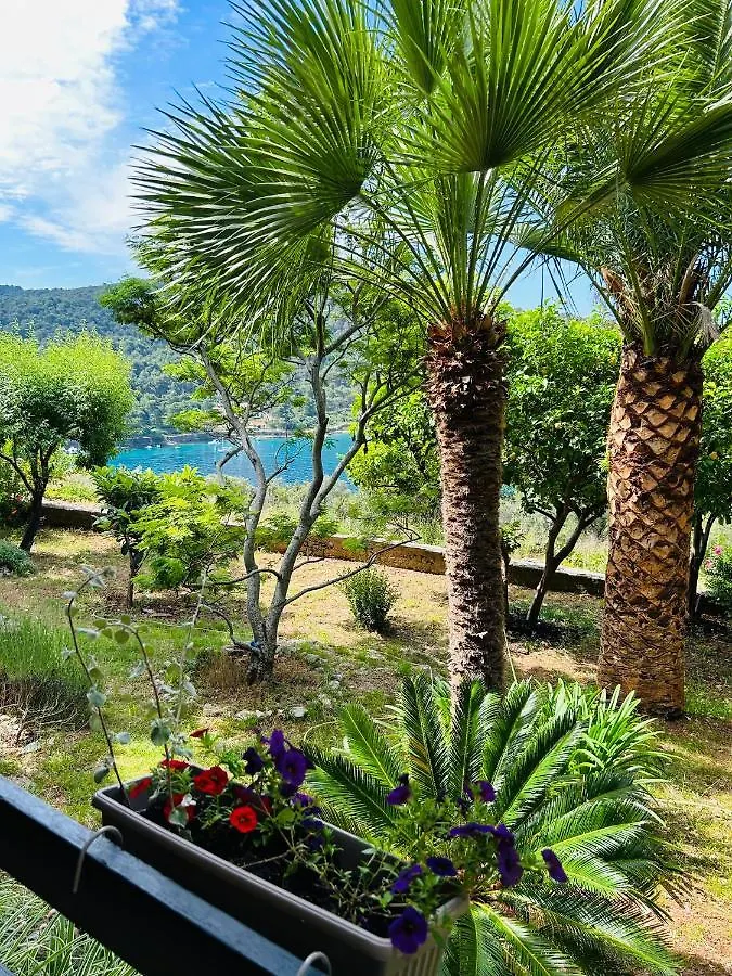 Apartment Monte Rosa مالي لوشينغْ كرواتيا