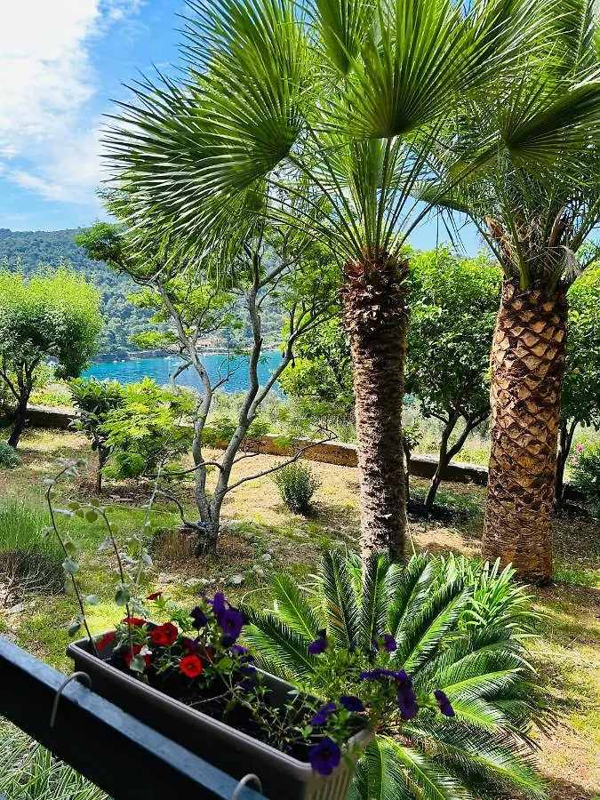 Apartment Monte Rosa مالي لوشينغْ