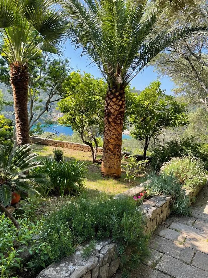 Apartment Monte Rosa مالي لوشينغْ كرواتيا
